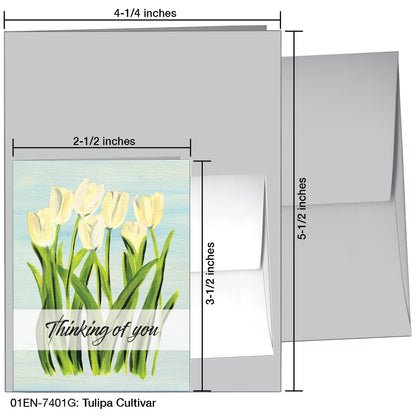 Tulipa Cultivar, Greeting Card (7401G)