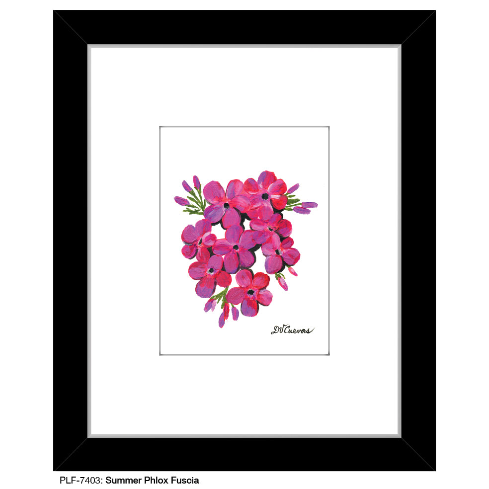 Summer Phlox Fuscia, Print (#7403)