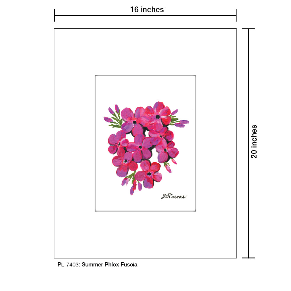 Summer Phlox Fuscia, Print (#7403)