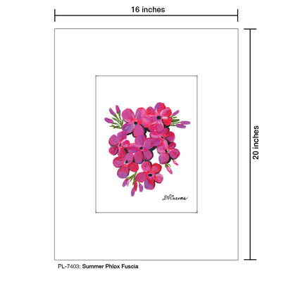 Summer Phlox Fuscia, Print (#7403)