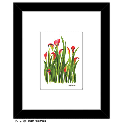 Tender Perennials, Print (#7405)