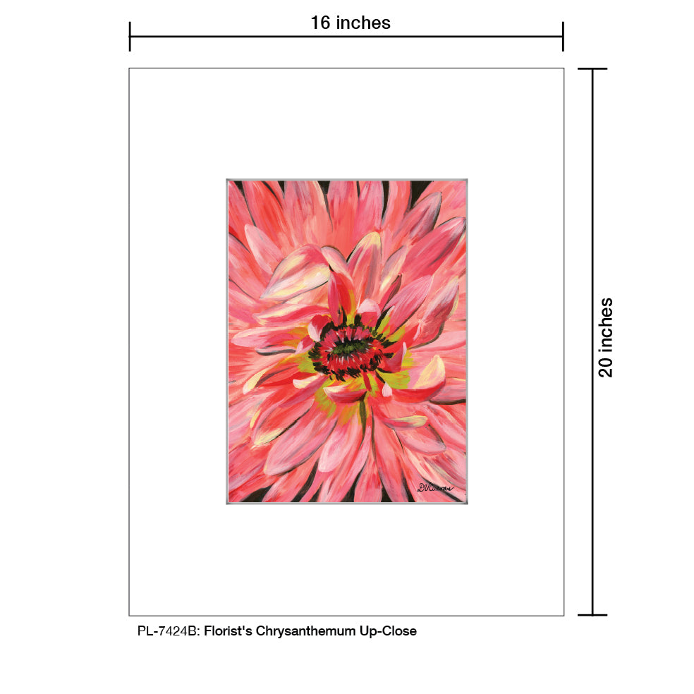 Florist's Chrysanthemum Up-Close, Print (#7424B)