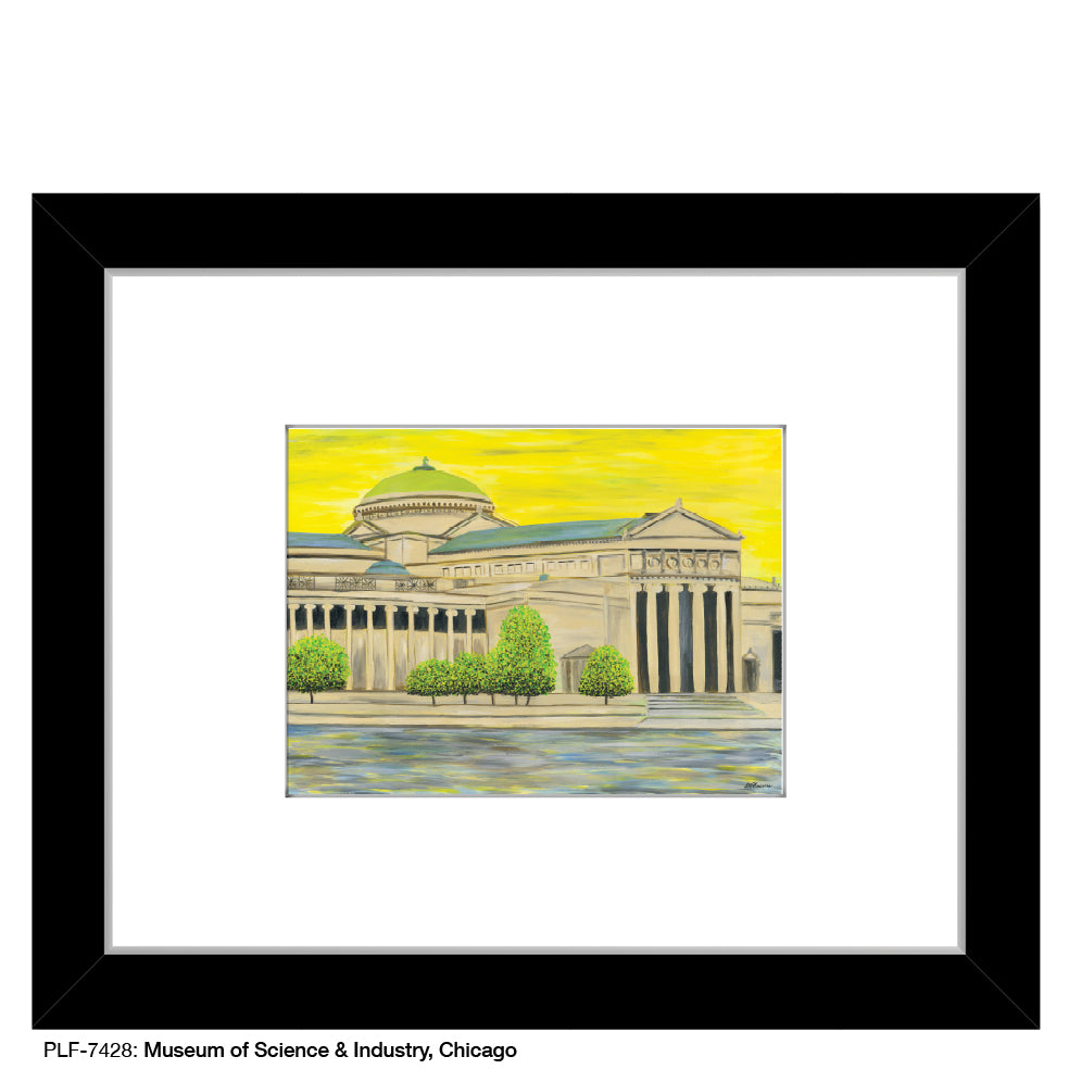 Museum Of Science & Industry, Chicago, Print (#7428)