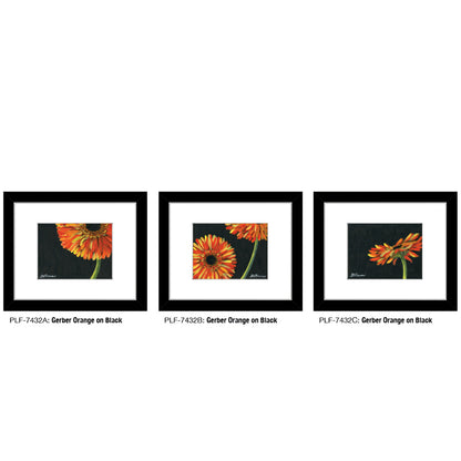 Gerber Orange on Black, Print TRIO (#7432)