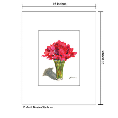 Bunch Of Cyclamen, Print (#7445)