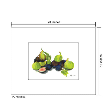 Figs, Print (#7454)