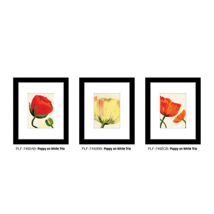 Poppy on White, Print TRIO (#7492)