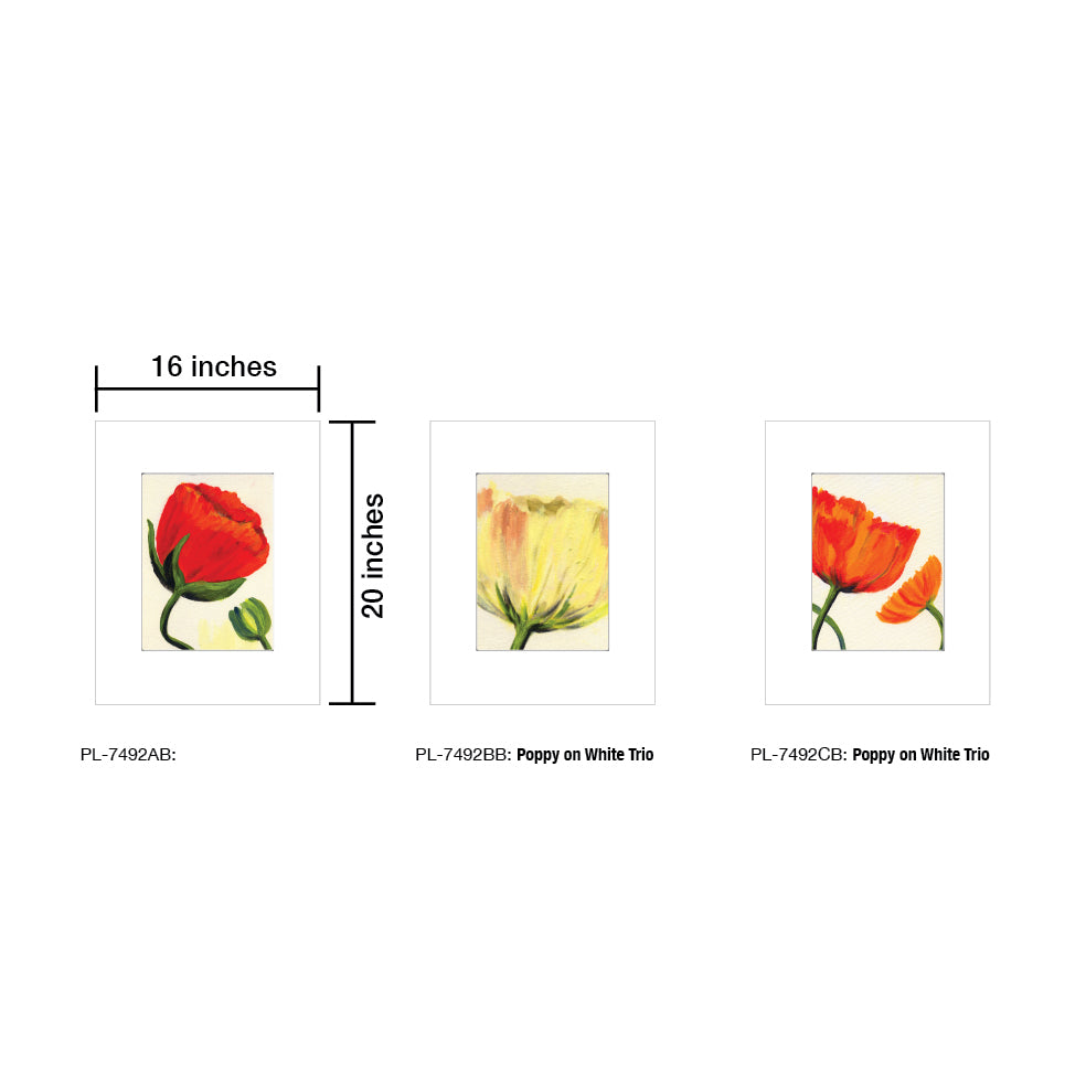 Poppy on White, Print TRIO (#7492)