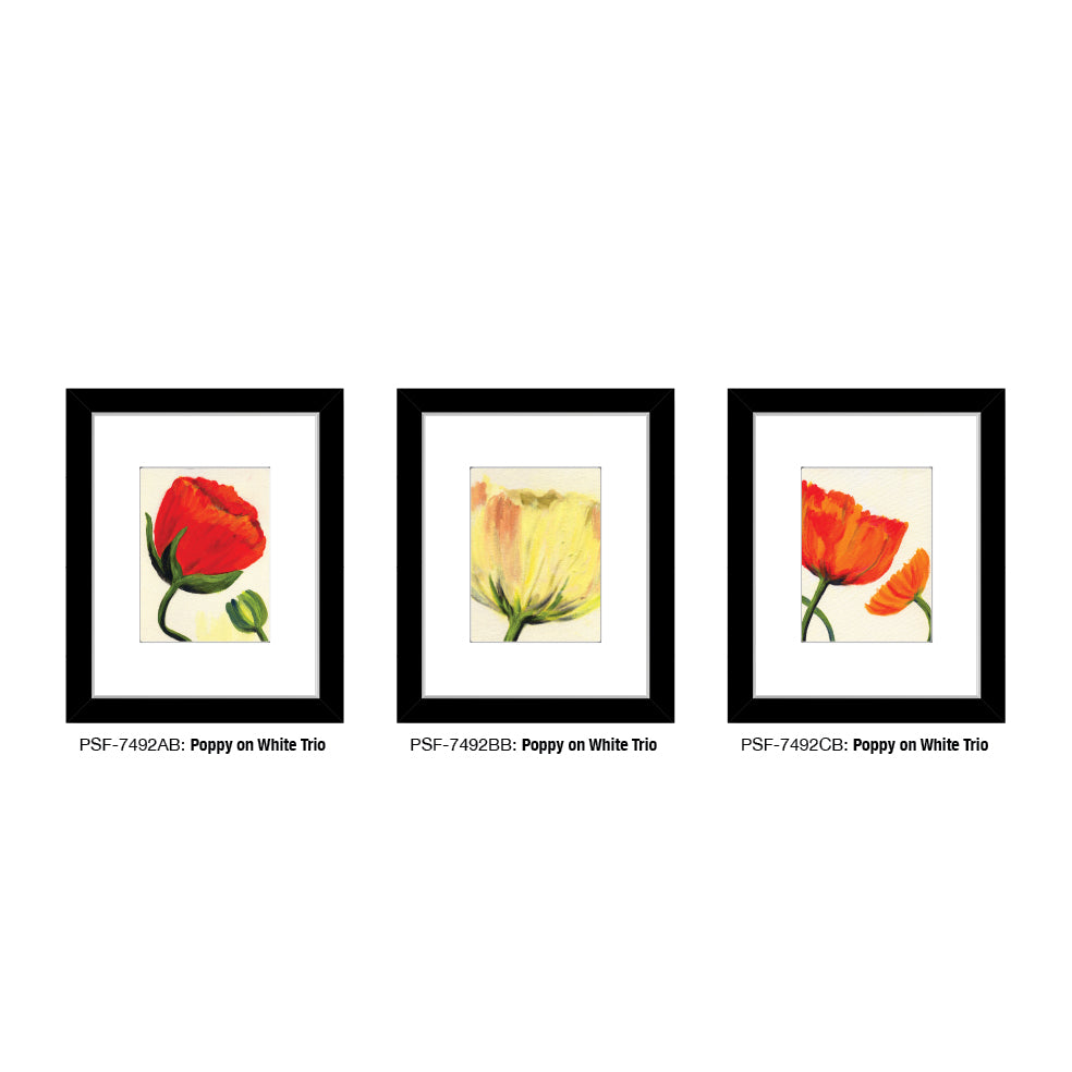 Poppy on White, Print TRIO (#7492)