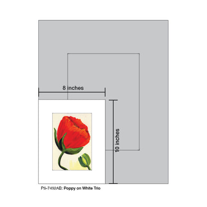 Poppy on White Trio, Print (#7492AB)