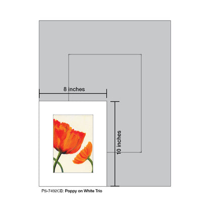 Poppy on White Trio, Print (#7492CB)