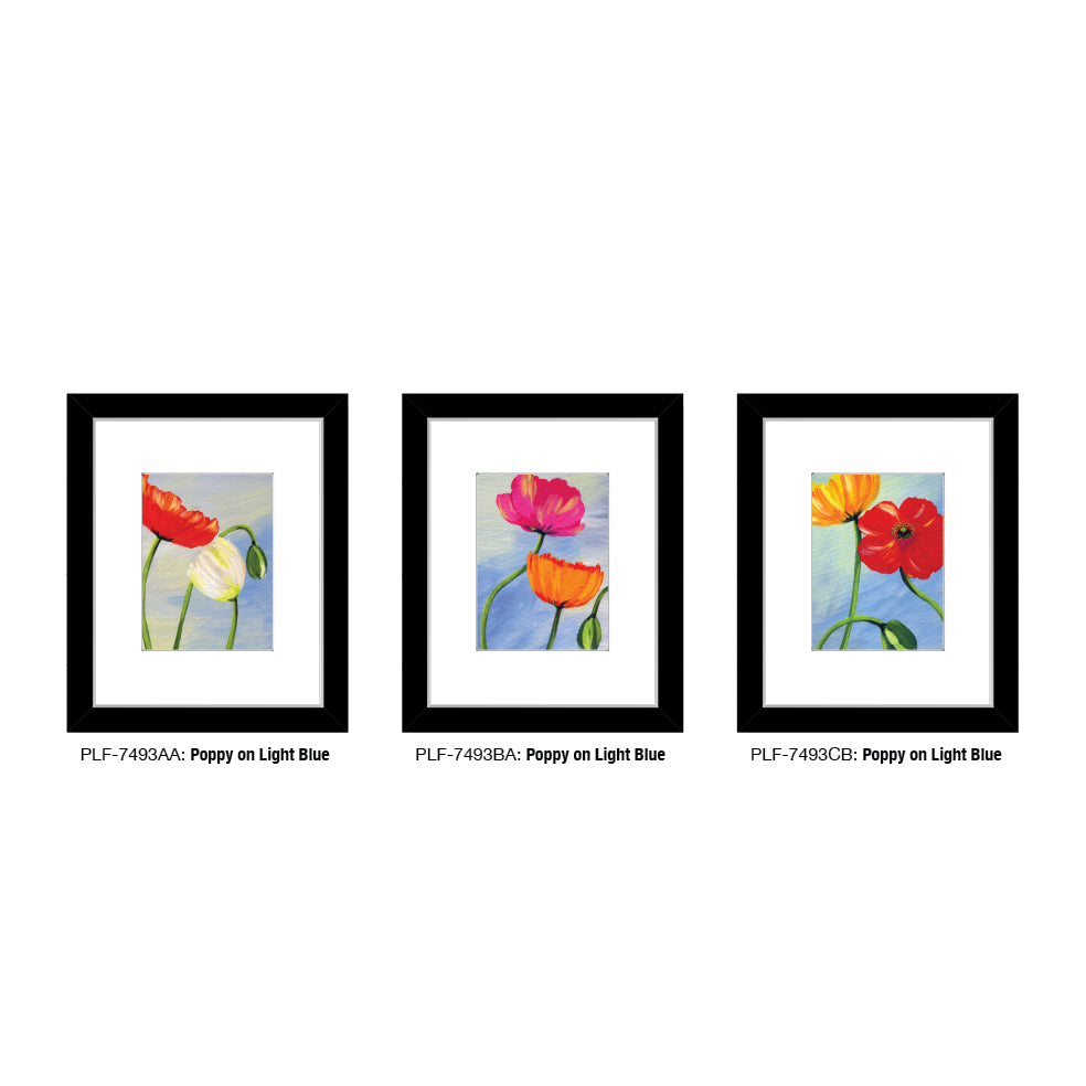 Poppy on Light Blue, Print TRIO (#7493)