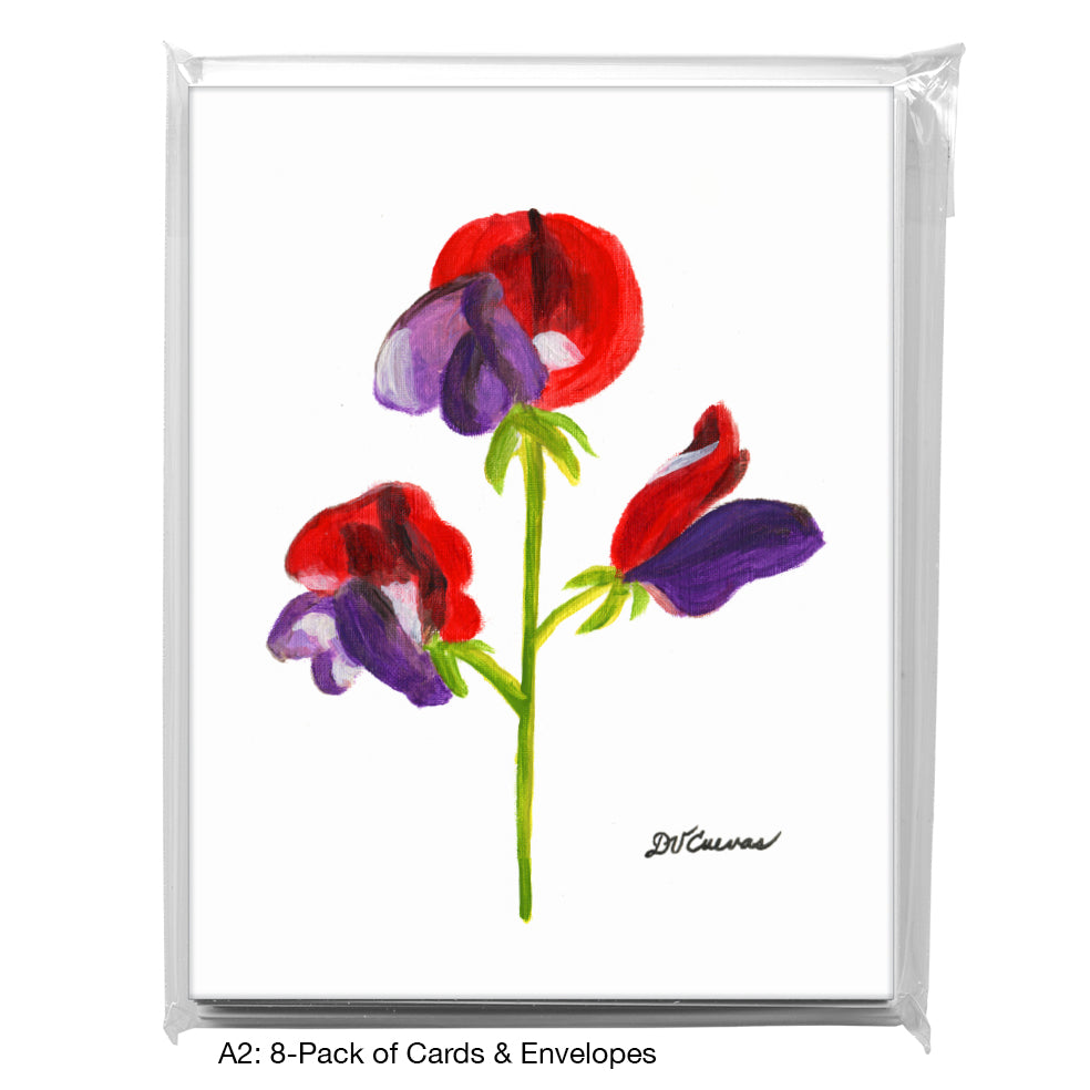 Cupani's Sweet Pea, Greeting Card (7511)