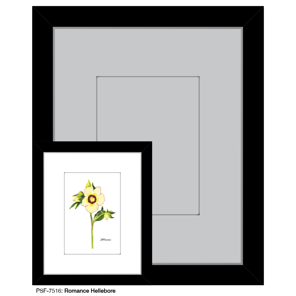 Romance Hellebore, Print (#7516)