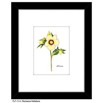 Romance Hellebore, Print (#7516)