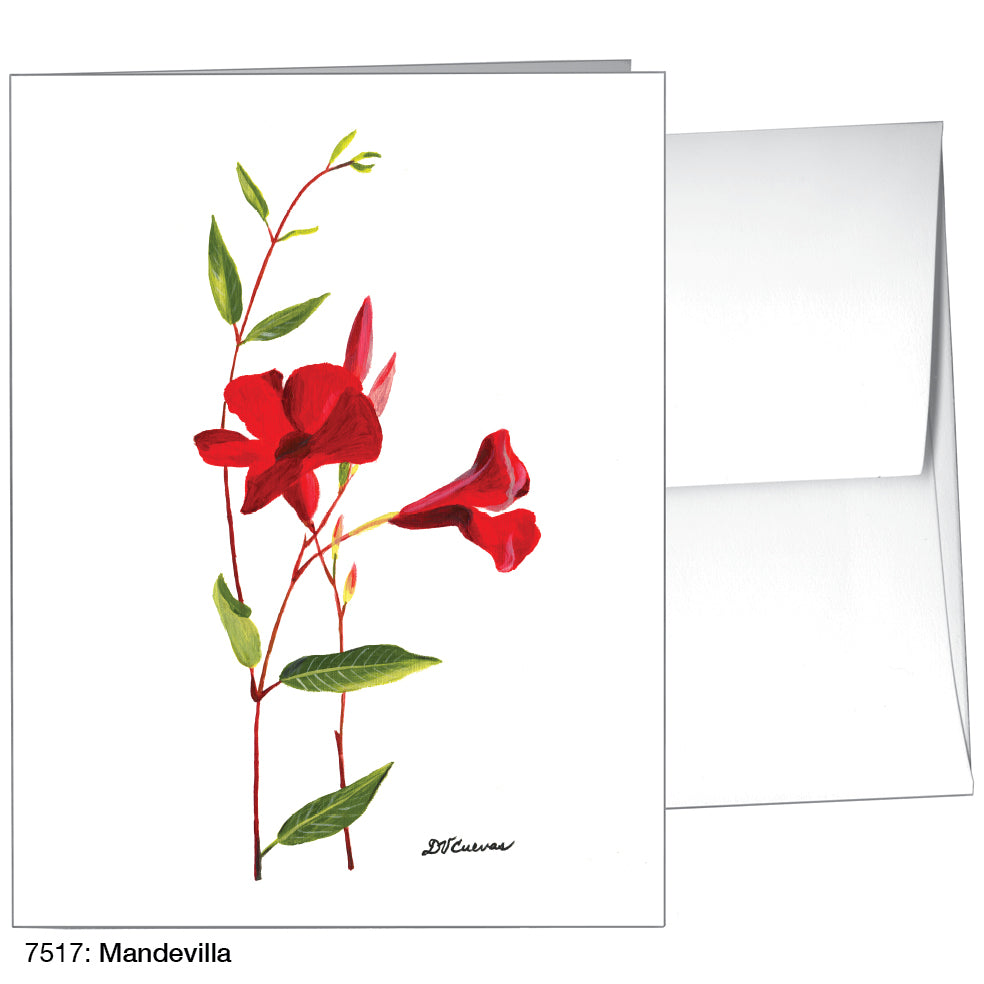 Mandevilla, Greeting Card (7517)