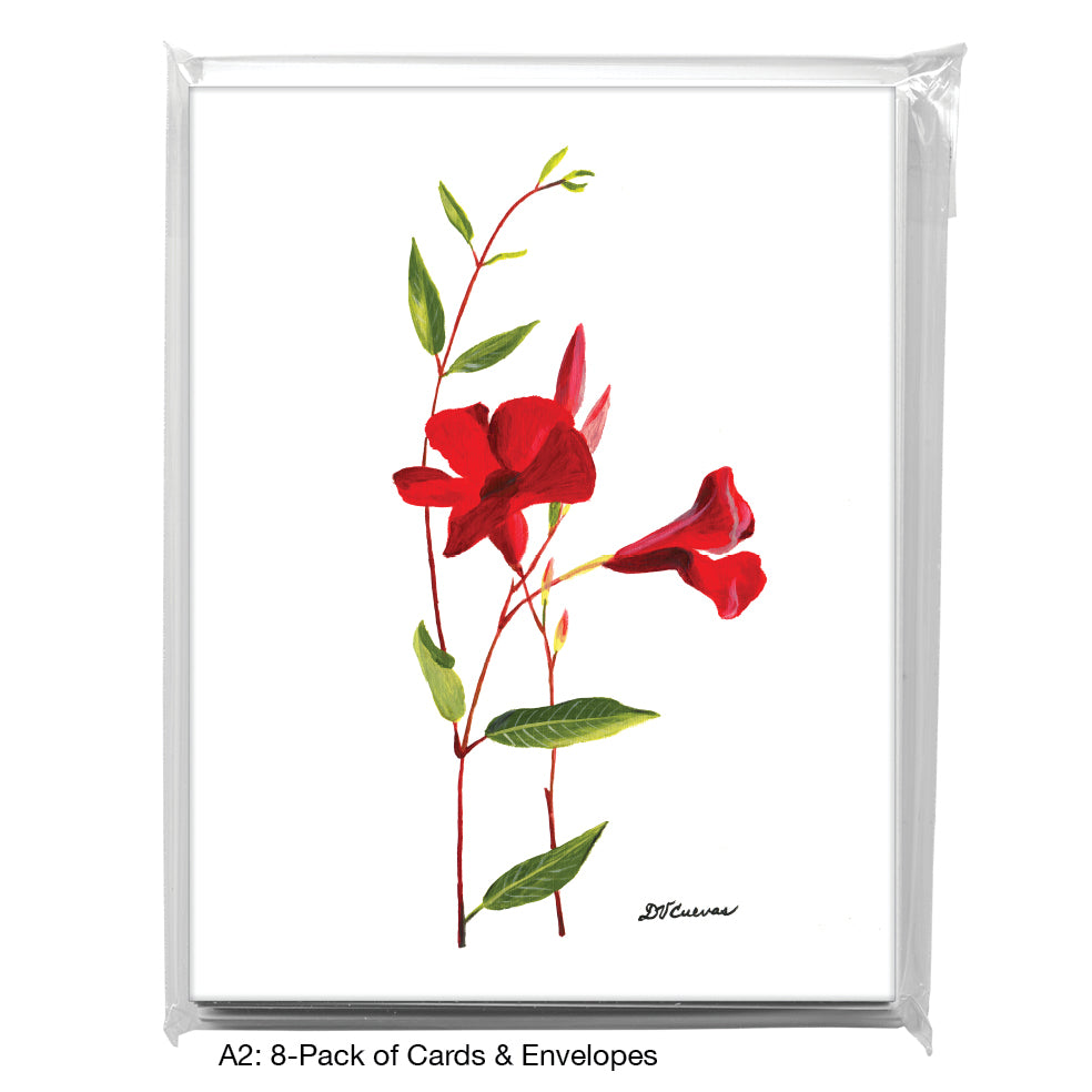 Mandevilla, Greeting Card (7517)