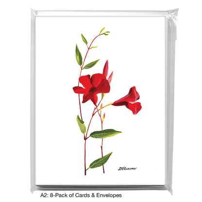 Mandevilla, Greeting Card (7517)