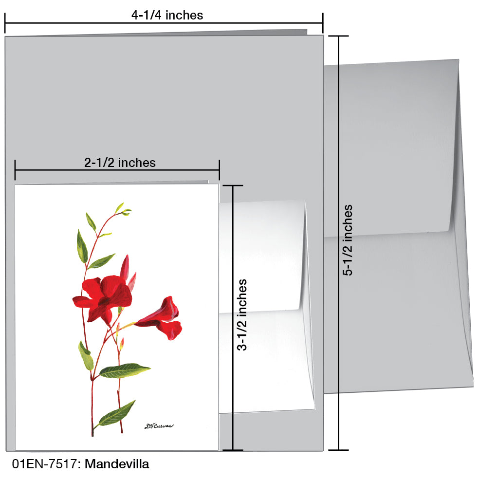 Mandevilla, Greeting Card (7517)