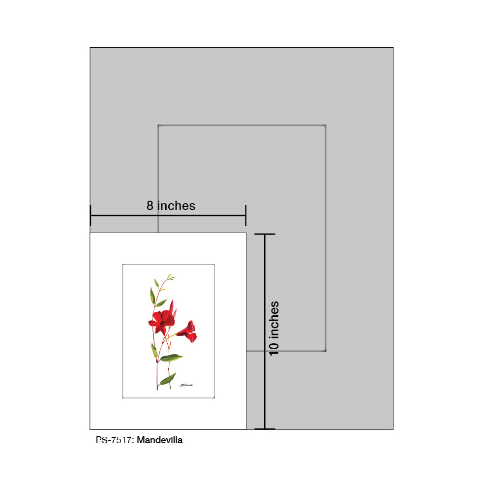 Mandevilla, Print (#7517)