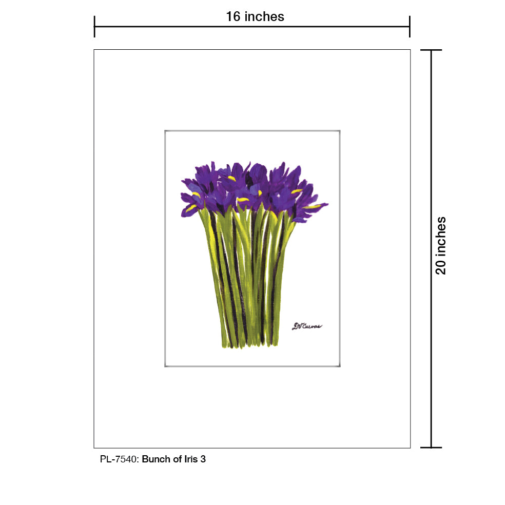 Bunch of Iris 3, Print (#7540)