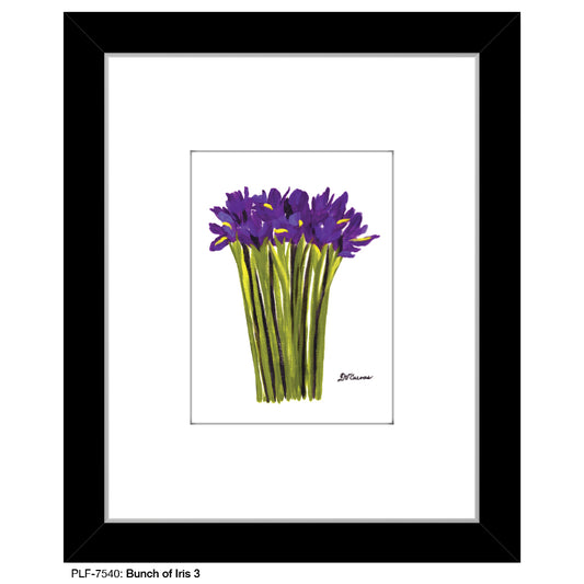 Bunch of Iris 3, Print (#7540)