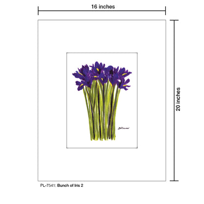 Bunch of Iris 2, Print (#7541)