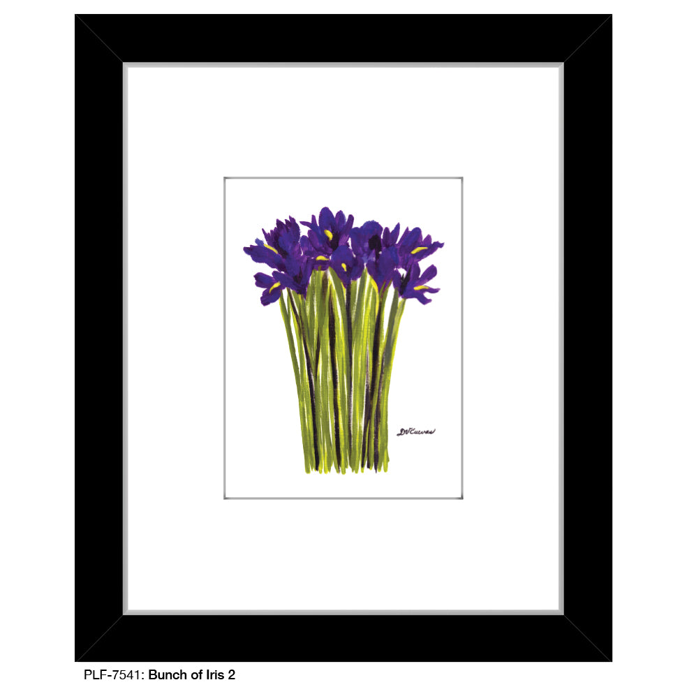 Bunch of Iris 2, Print (#7541)