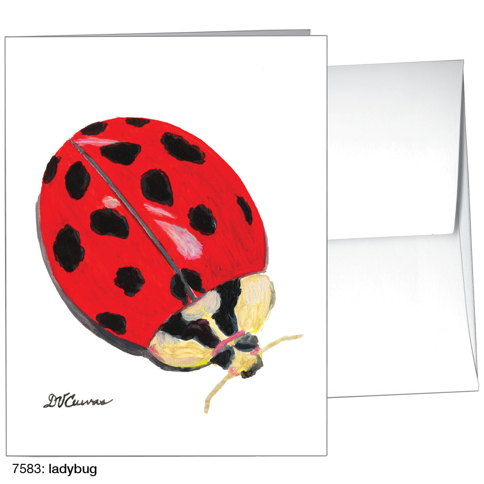 Ladybug, Greeting Card (7583)