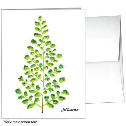 Maidenhair Fern, Greeting Card (7586)