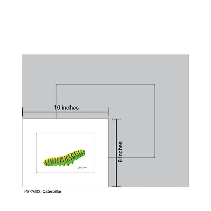 Caterpillar, Print (#7602)