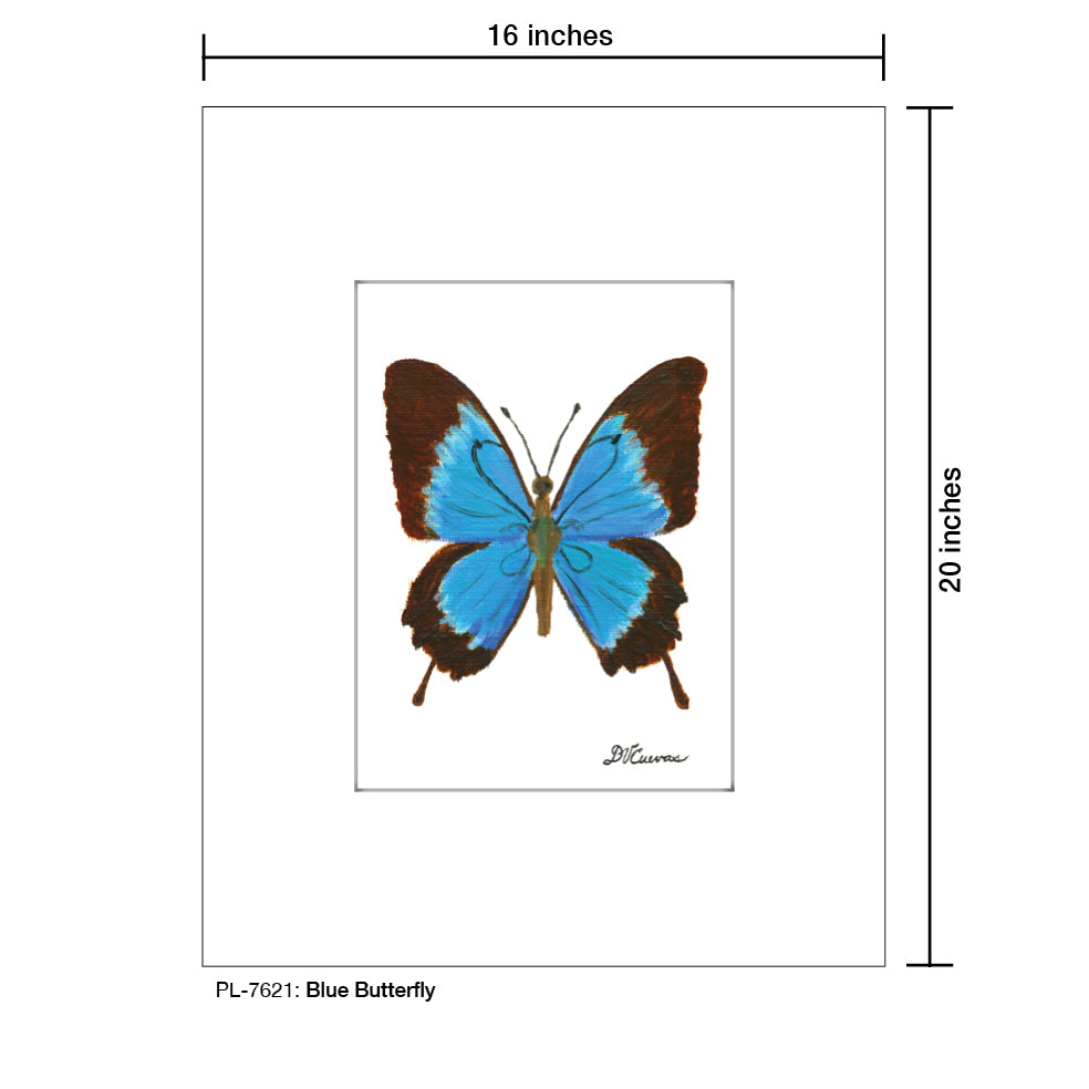 Blue Butterfly, Print (#7621)