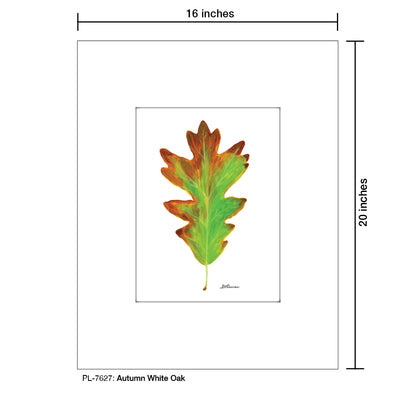 Autumn White Oak, Print (#7627)