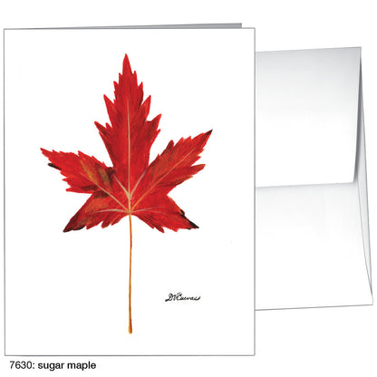 Sugar Maple, Greeting Card (7630)