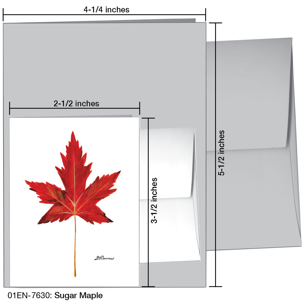 Sugar Maple, Greeting Card (7630)