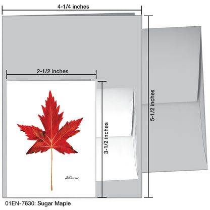 Sugar Maple, Greeting Card (7630)