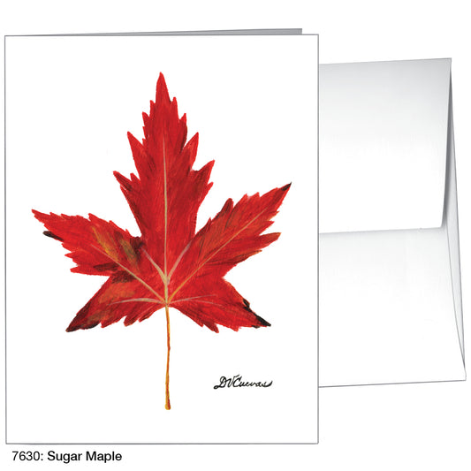 Brilliant Scarlet, Greeting Card (7629)