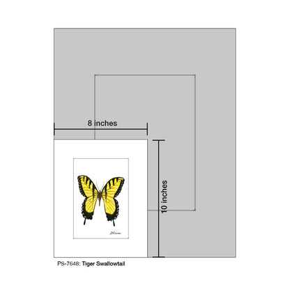 Tiger Swallowtail, Print (#7648)