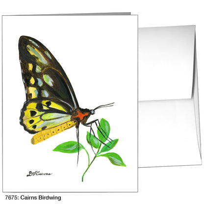 Cairns Birdwing, Greeting Card (7675)