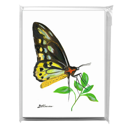 Cairns Birdwing, Greeting Card (7675)