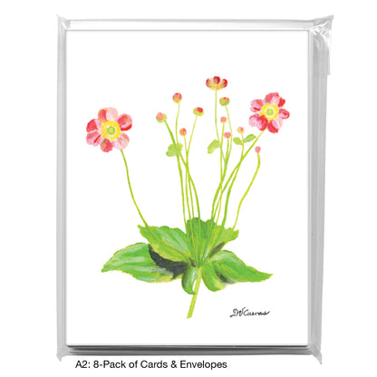 Robustissima Anemones, Greeting Card  (7677)