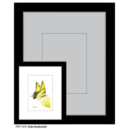 Side Swallowtail, Print (#7678)