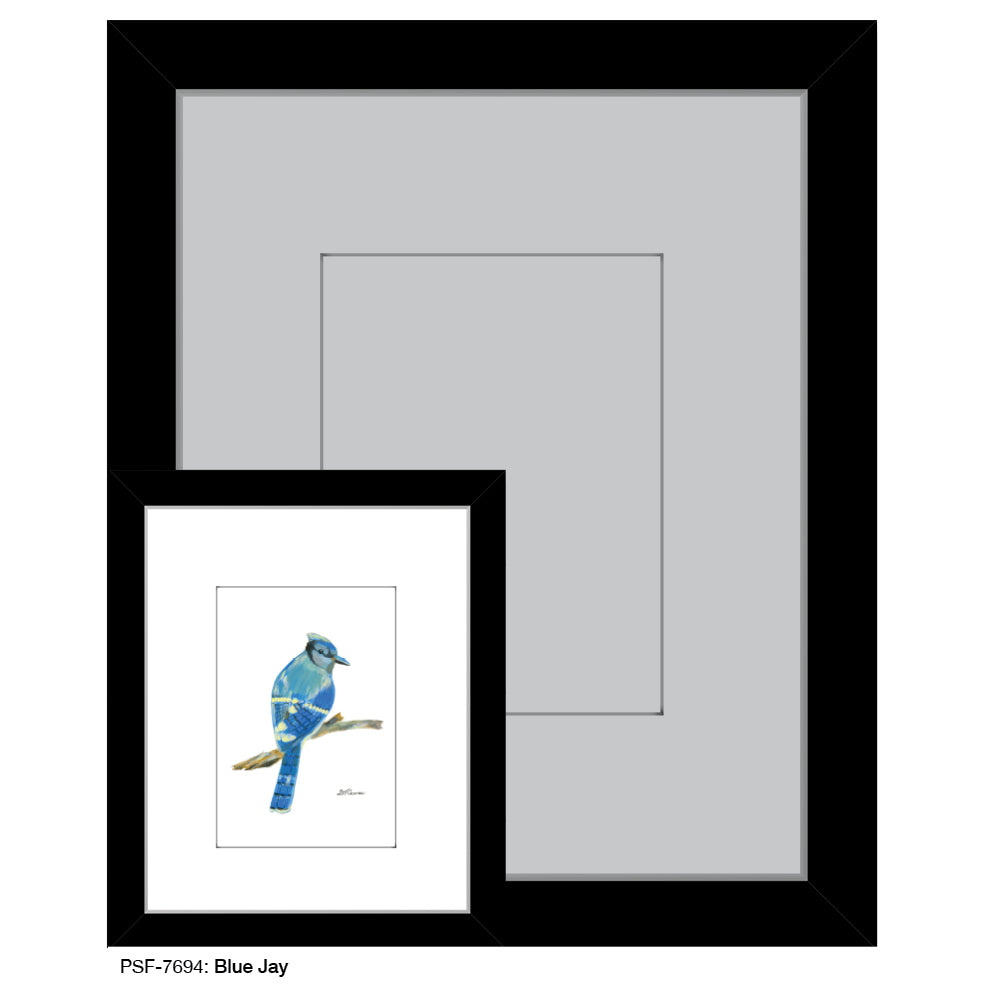 Blue Jay, Print (#7694)