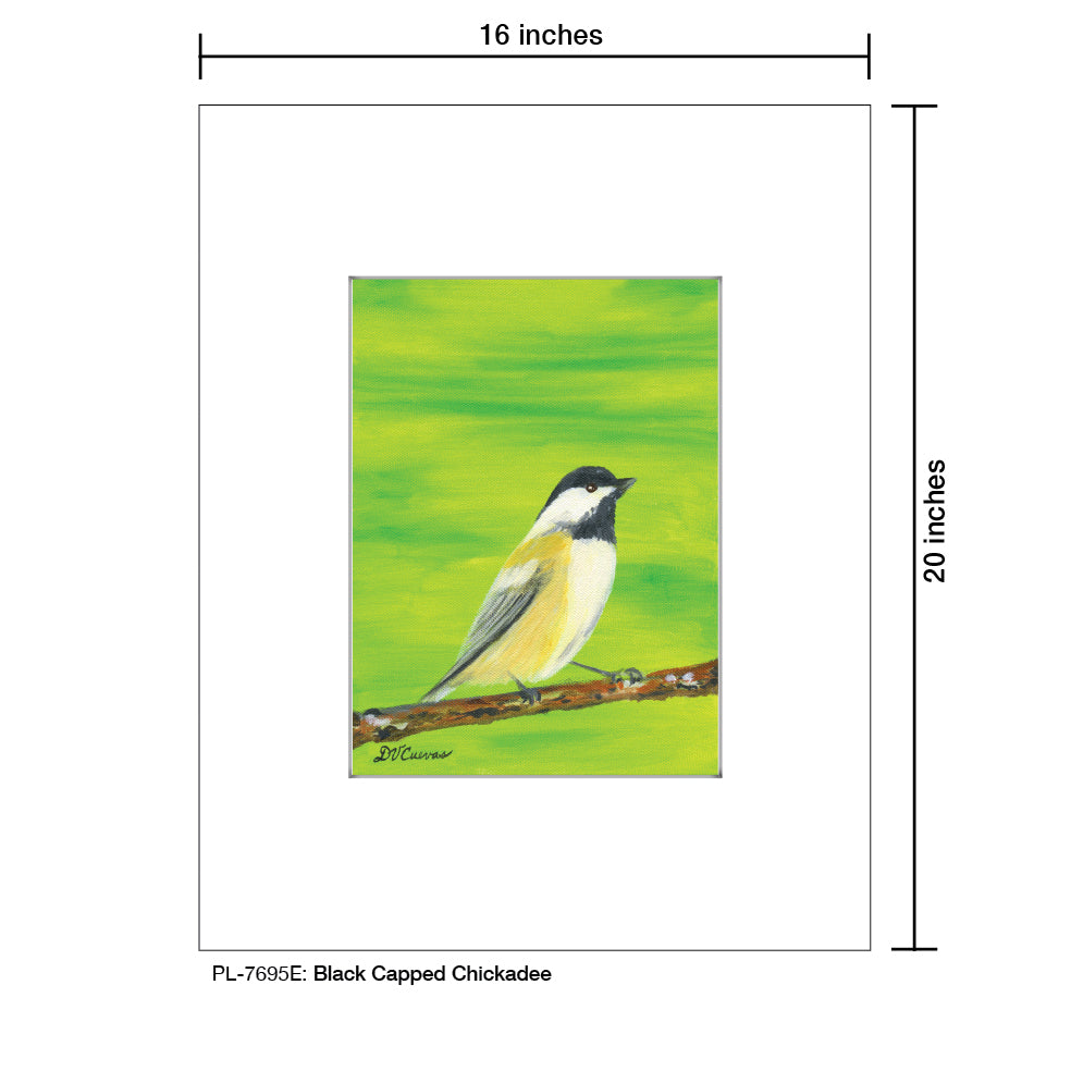 Black Capped Chickadee, Print (#7695E)