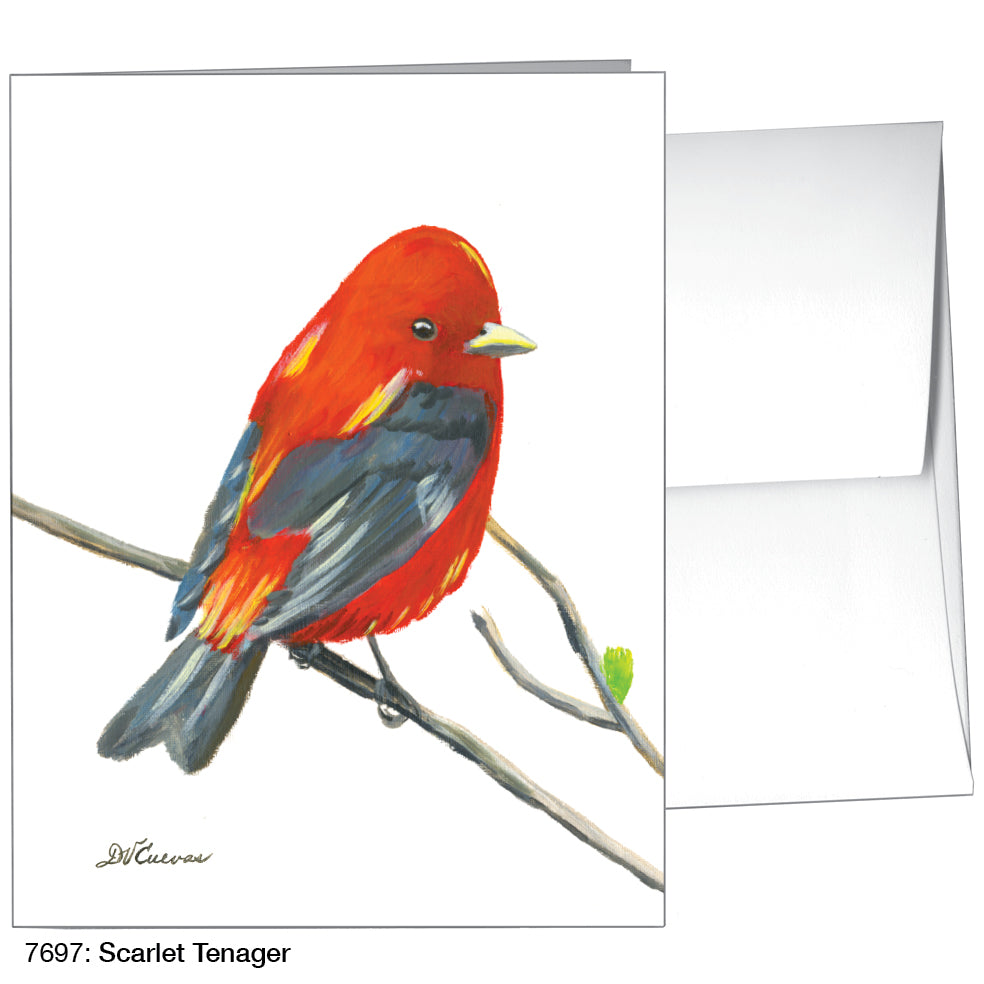 Scarlet Tenager, Greeting Card (7697)