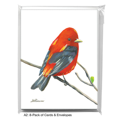 Scarlet Tenager, Greeting Card (7697)