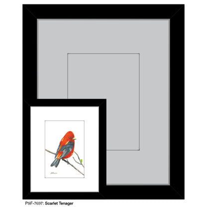 Scarlet Tenager, Print (#7697)