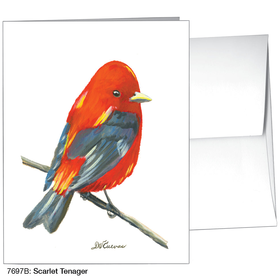 Scarlet Tenager, Greeting Card (7697B)