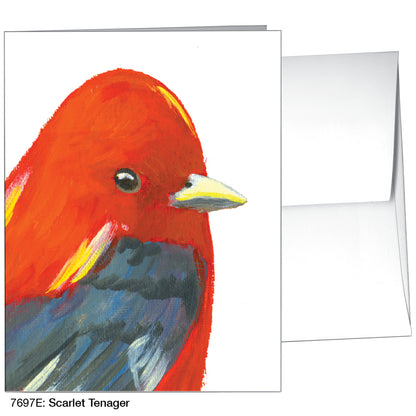 Scarlet Tenager, Greeting Card (7697E)