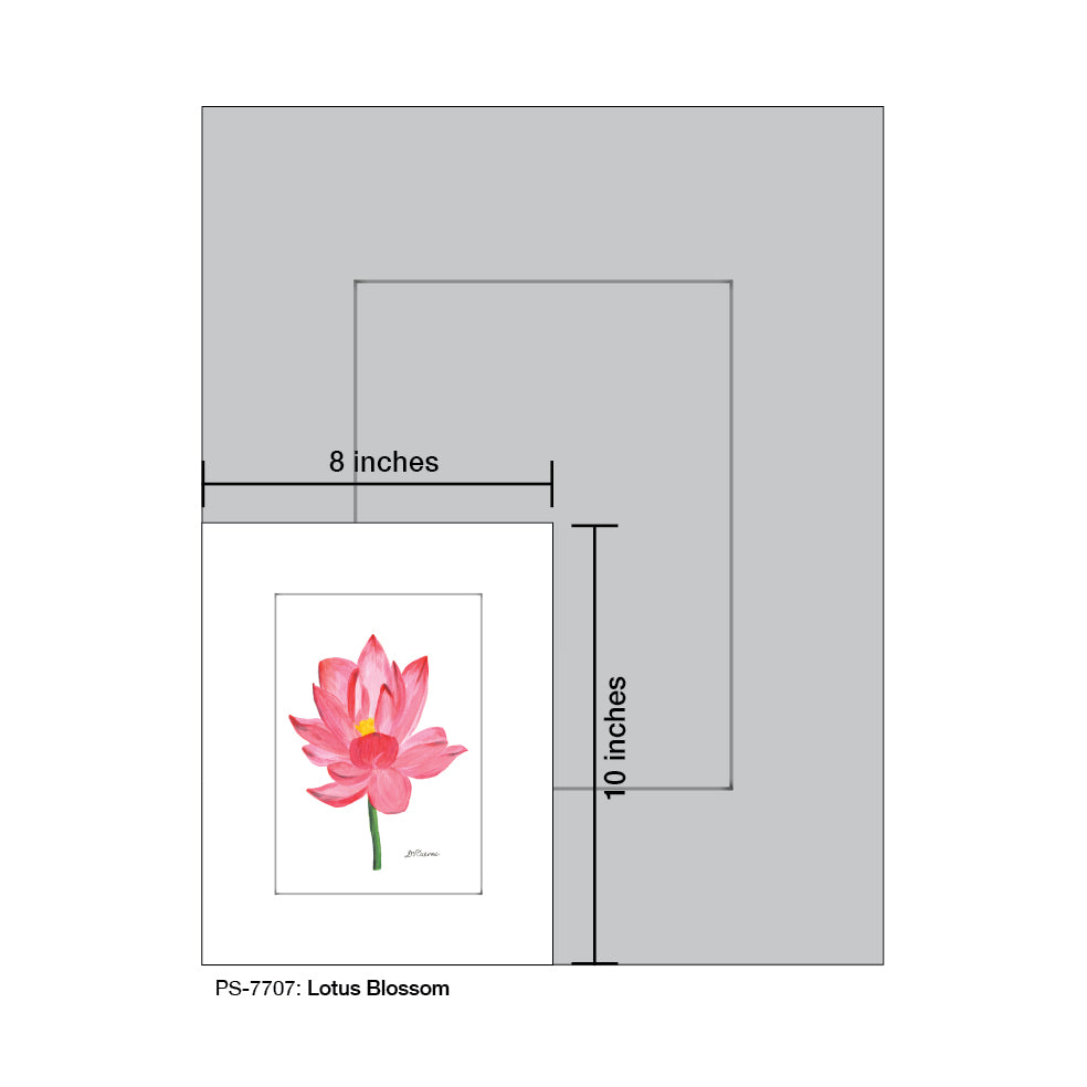 Lotus Blossom, Print (#7707)